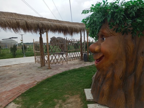  诺丁汉森林战平谢菲联延续不胜怪圈